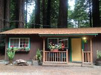 ForestCottage  Redwoods forest cottage